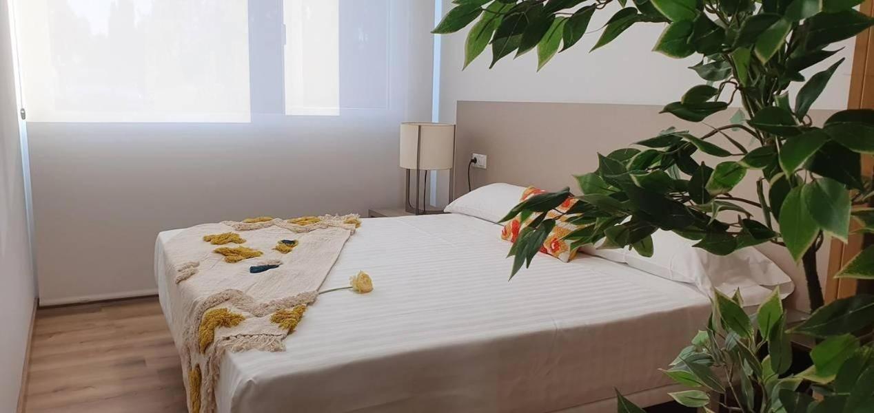 Apartamentos Antares 3 มีญาดอยโร ภายนอก รูปภาพ